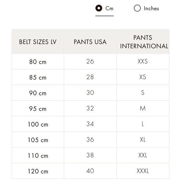 Men’s vintage Louis Vuitton buckle belt - Picture 6 of 6